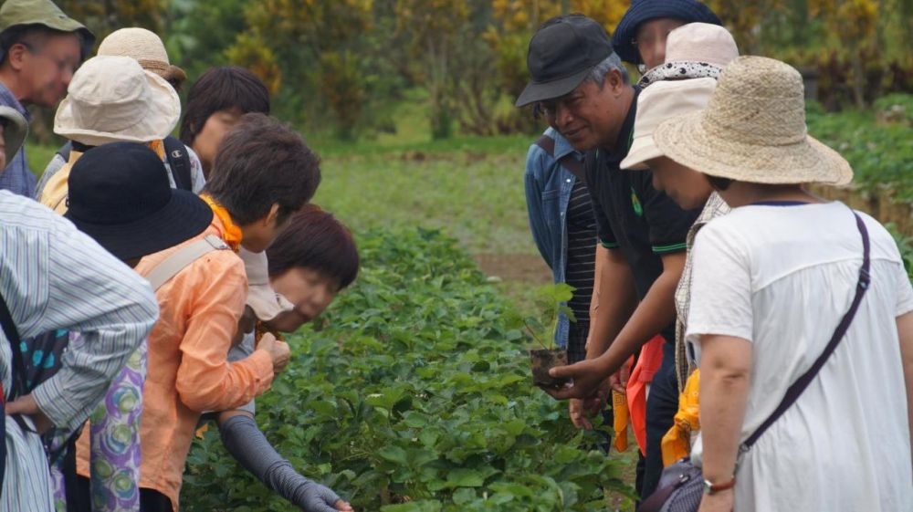 Bagus Agro Pelaga