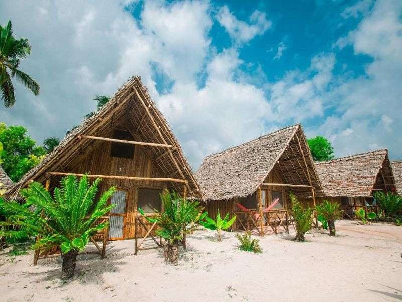 New Jambo Bungalows
