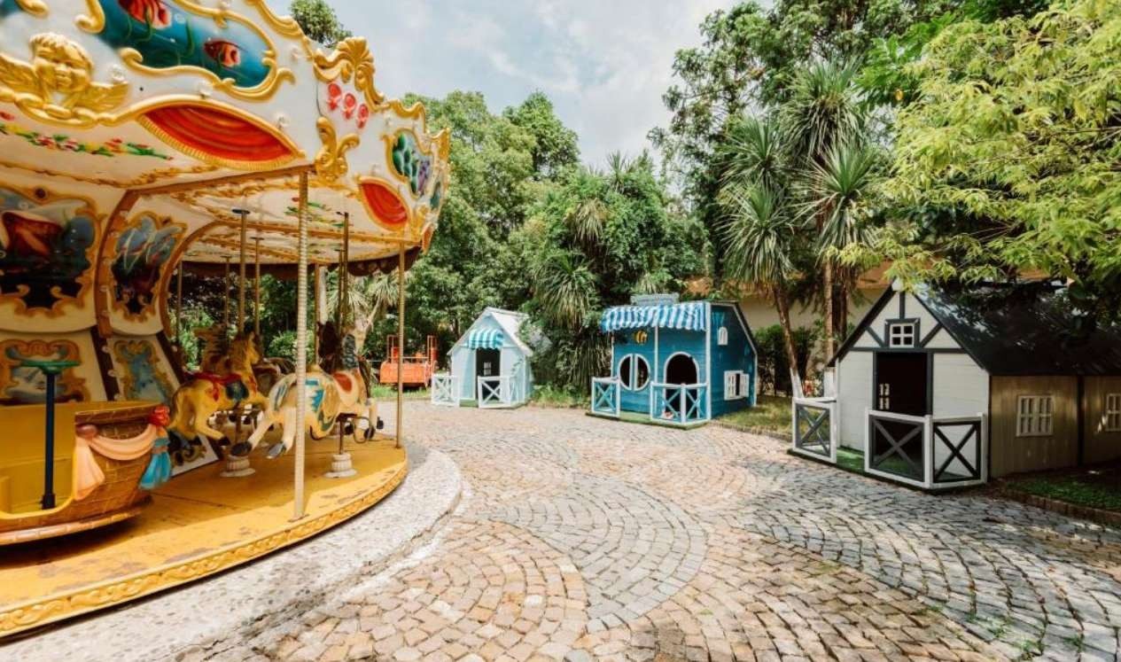 DREAMLAND OASIS