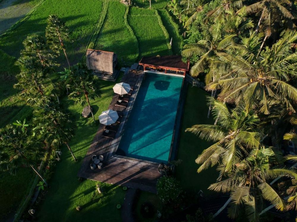 Фото отеля The Artini Dijiwa Ubud