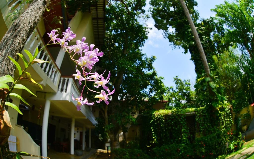 Sea Breeze Guest House