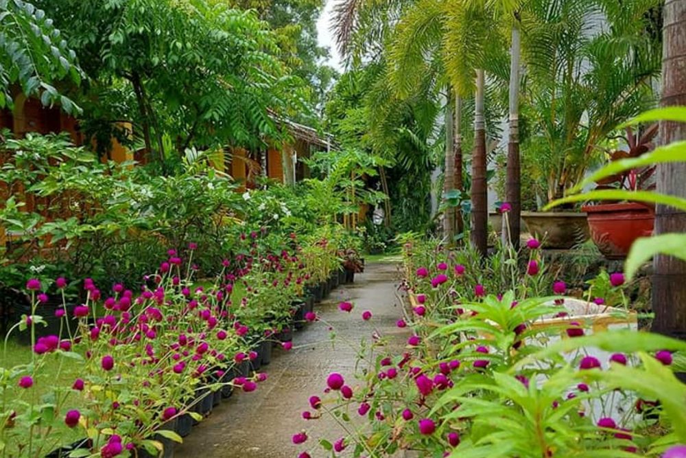 Azura Phu Quoc