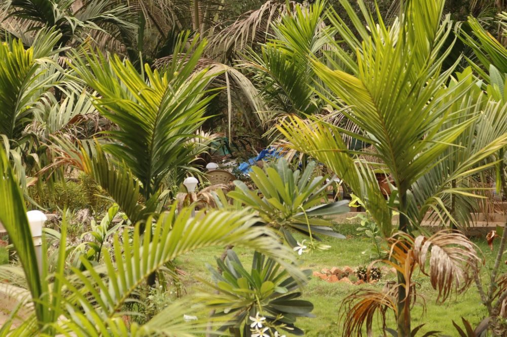 Lavish Exotic Hotel And Apartment