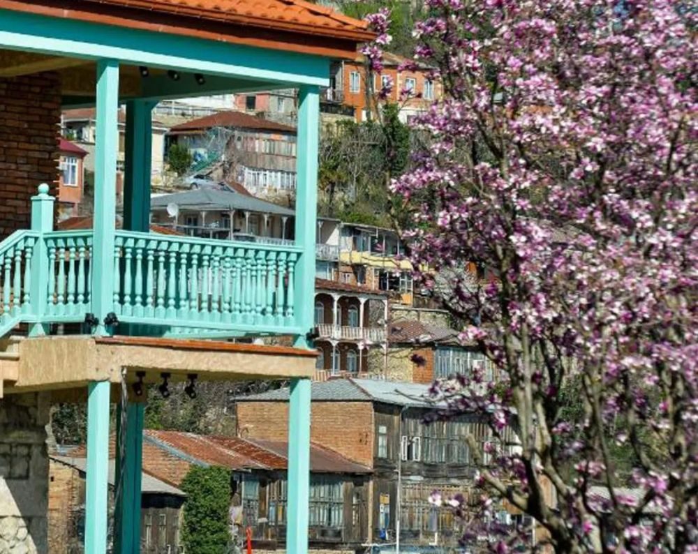 MAGNOLIA KUTAISI