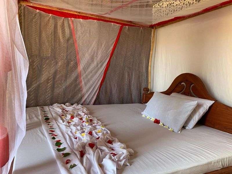 New Jambo Bungalows