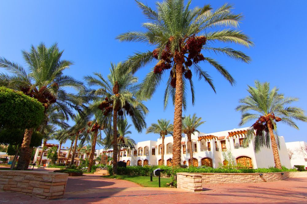 Mehmonxona fotolari Coral Hills Resort