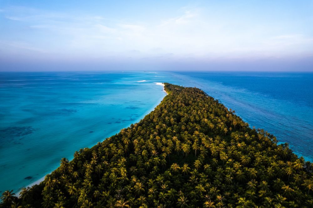 Фото отеля Island Luxury Dive Hotel