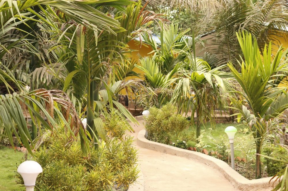 Lavish Exotic Hotel And Apartment