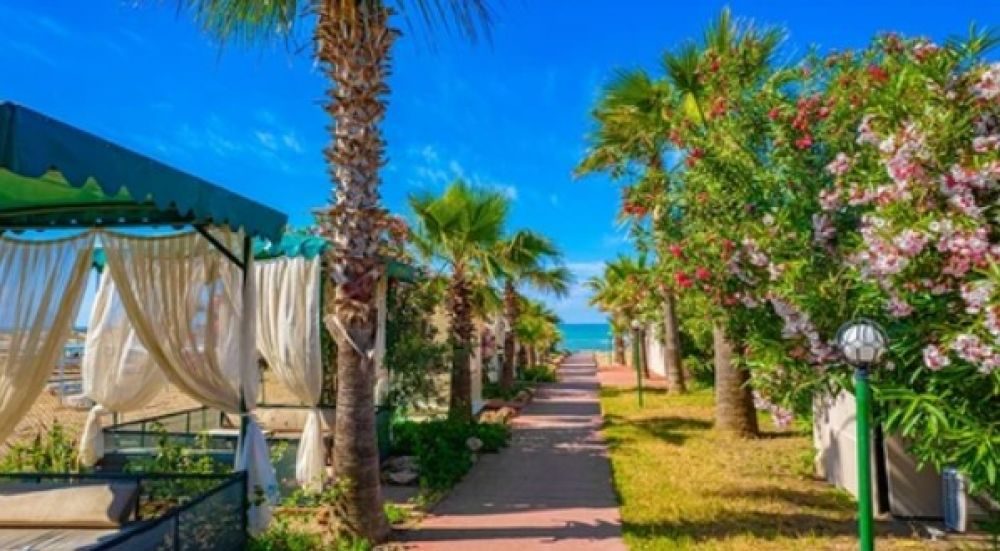 CLUB WASA HOLIDAY VILLAGE