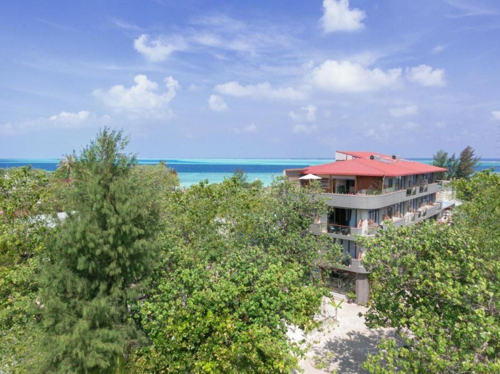 Фото отеля Ayala Ocean View