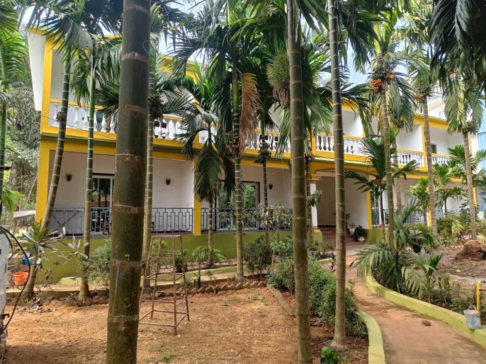 Lavish Exotic Hotel And Apartment