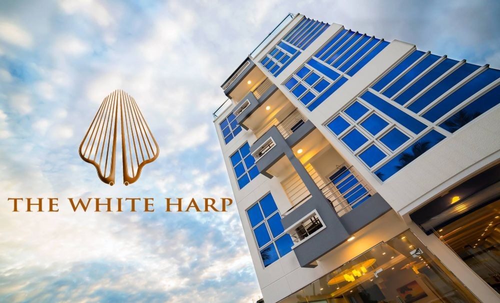 White Harp Beach