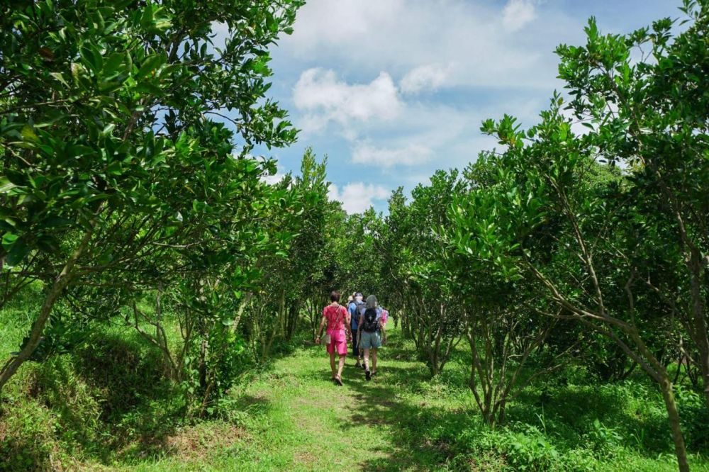 Фото отеля Bagus Agro Pelaga