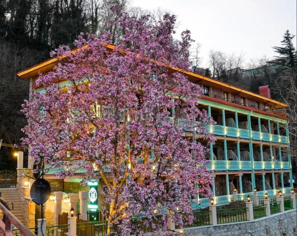 MAGNOLIA KUTAISI