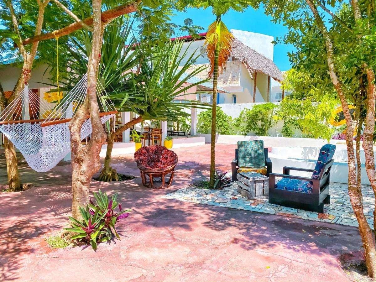 Фото отеля Papaya Guest House Nungwi