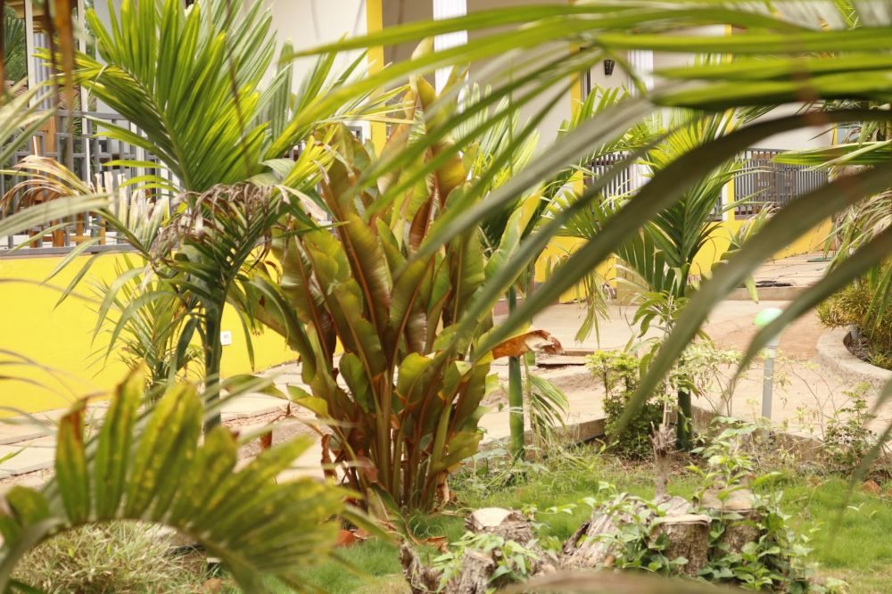 Lavish Exotic Hotel And Apartment