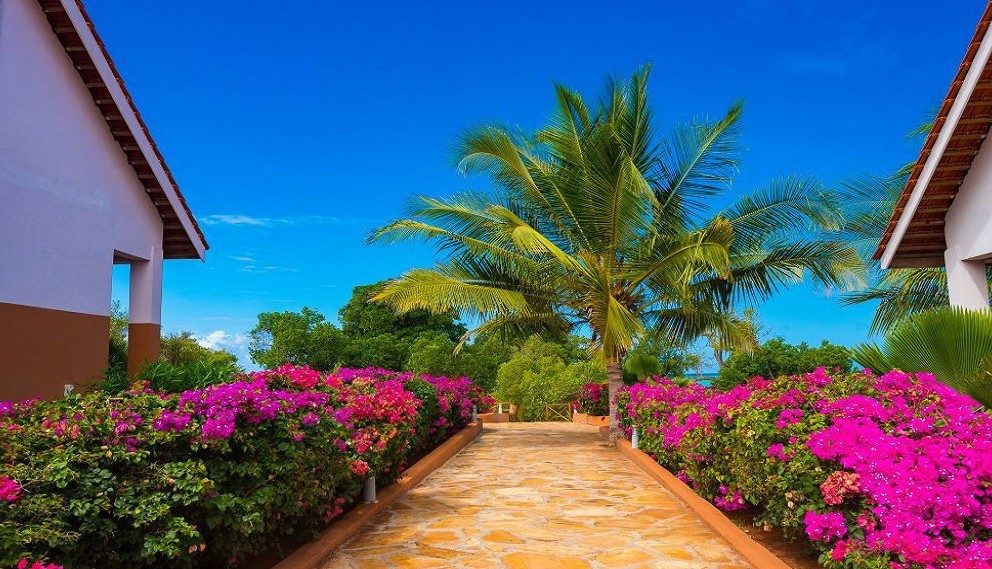 Фото отеля Azao Resort & Spa